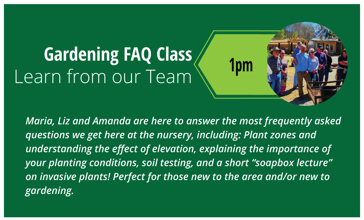 intro gardening