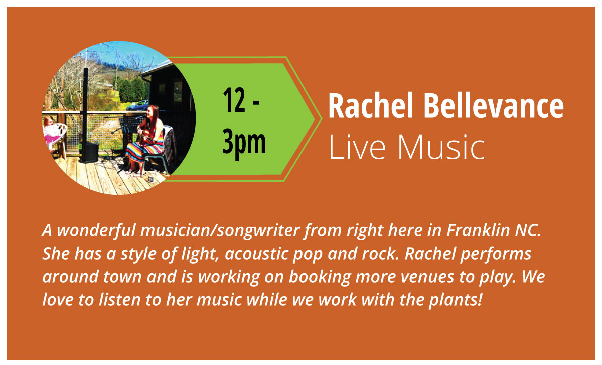 live music