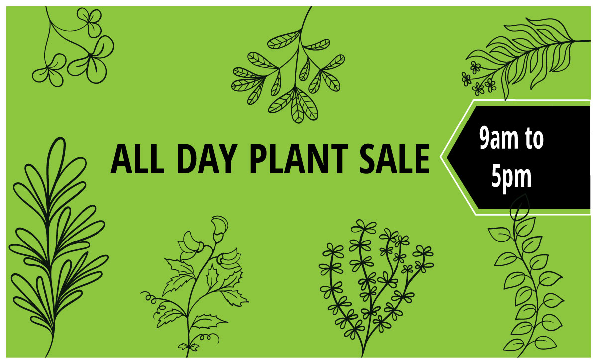 plant sale