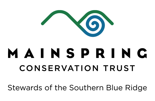 Mainspring Conservation Trust logo