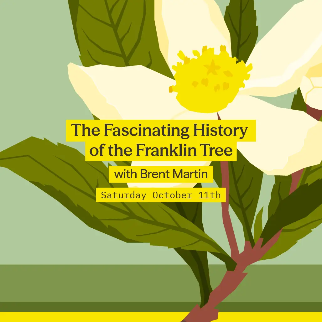 Franklin Tree Event at Winding Stair Farm