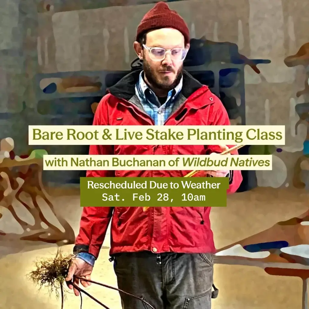 bare roots RESCHEDULE PNG 1