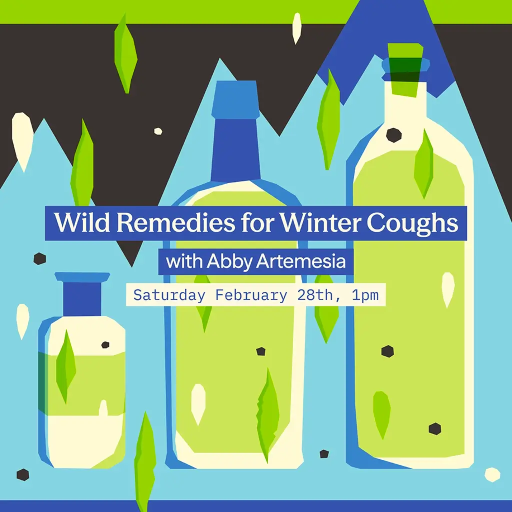 WSG Wild Remedies 20260228 WEB