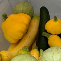 The Farm: Mountain and Valley 12