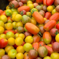 The Farm: Mountain and Valley 9